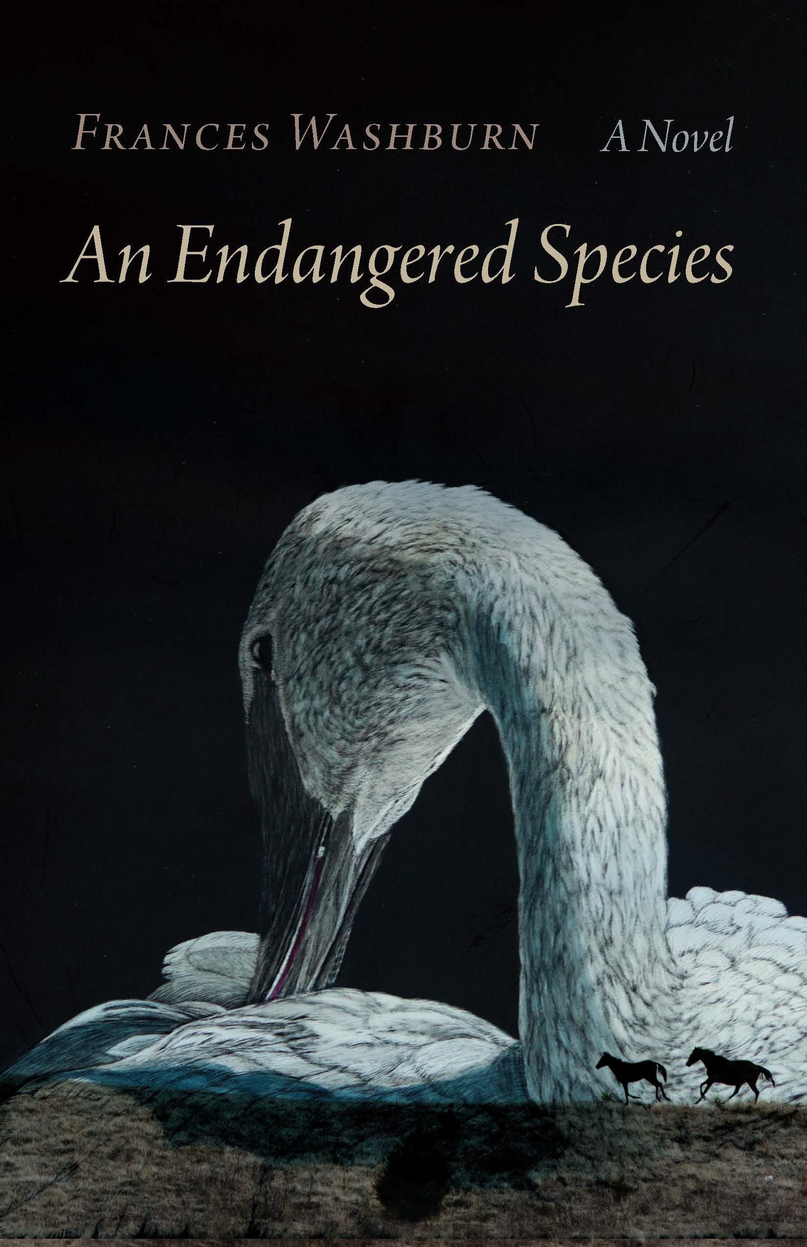 An Endangered Species: A Novel - 529