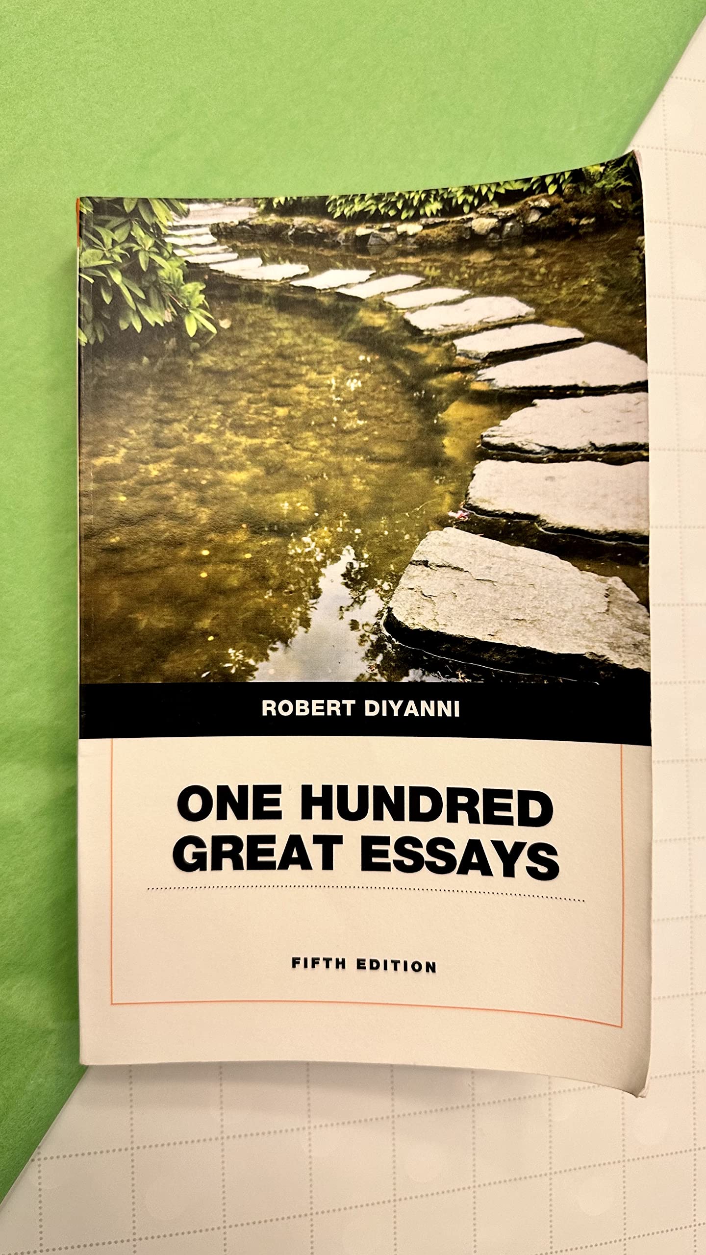 One Hundred Great Essays - 6382