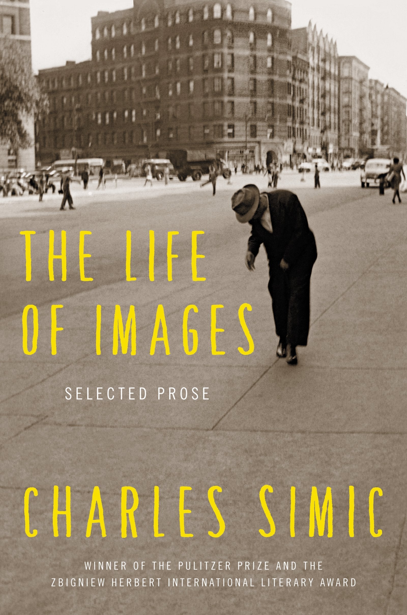 The Life of Images: Selected Prose - 8781