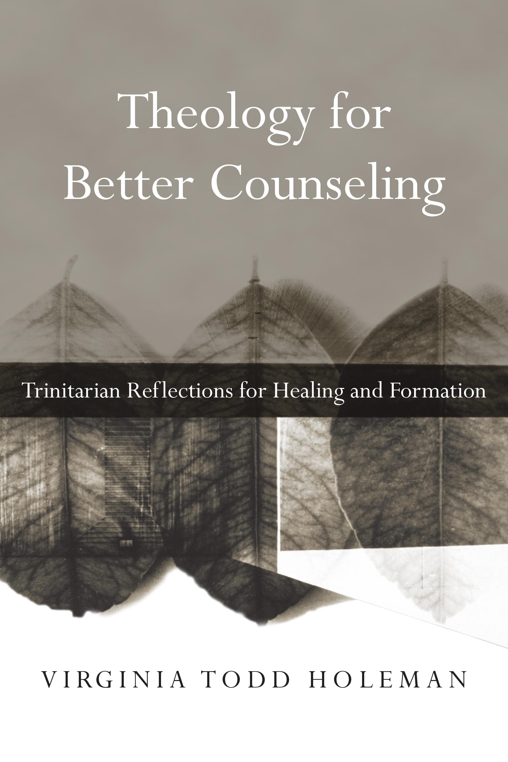 Theology for Better Counseling: Trinitarian Reflections for Healing and Formation (Christian Association for Psychological Studies Books) - 3507