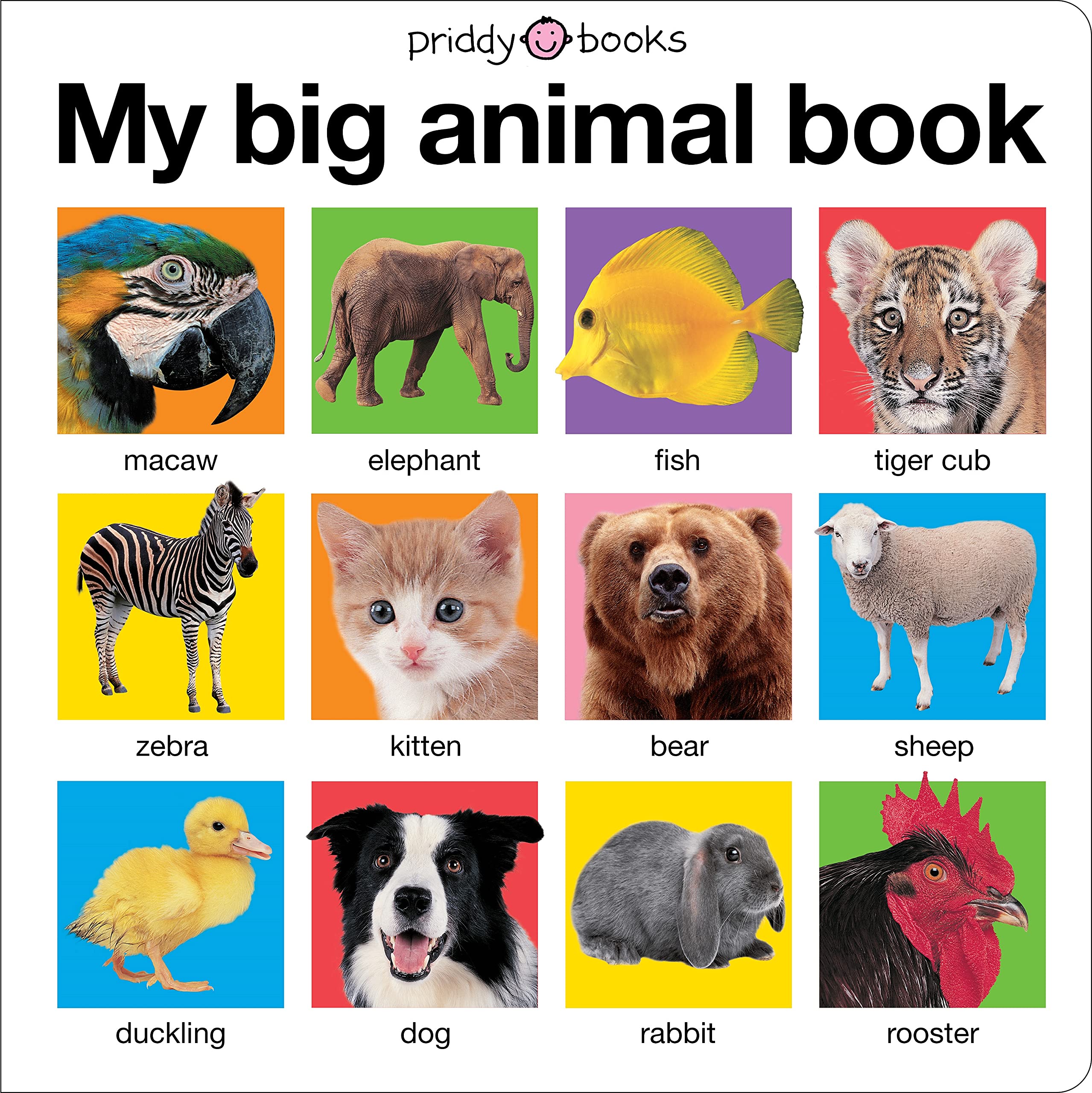 My Big Animal Book (My Big Board Books) - 9469