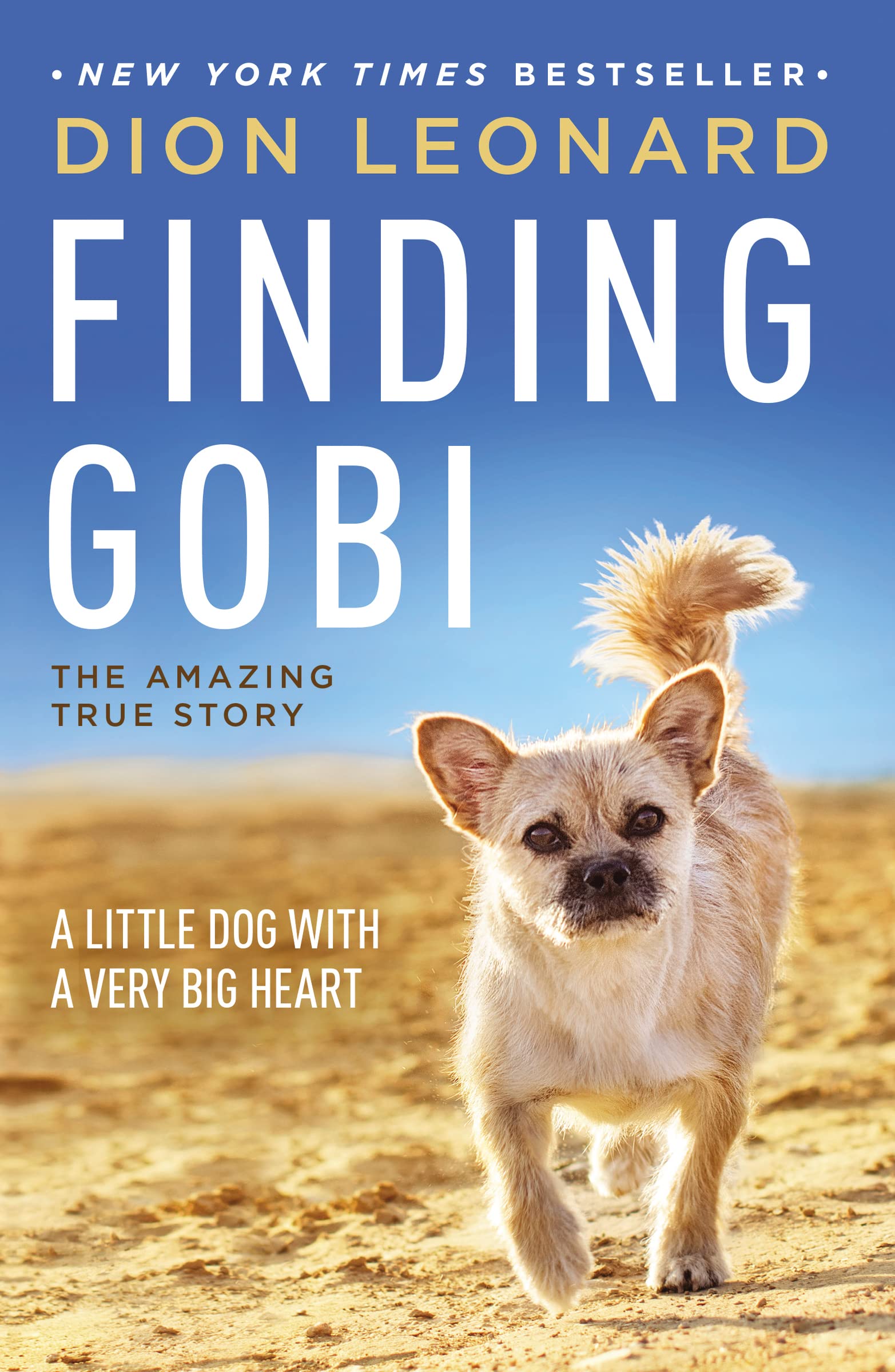 Finding Gobi: A Little Dog with a Very Big Heart - 3612