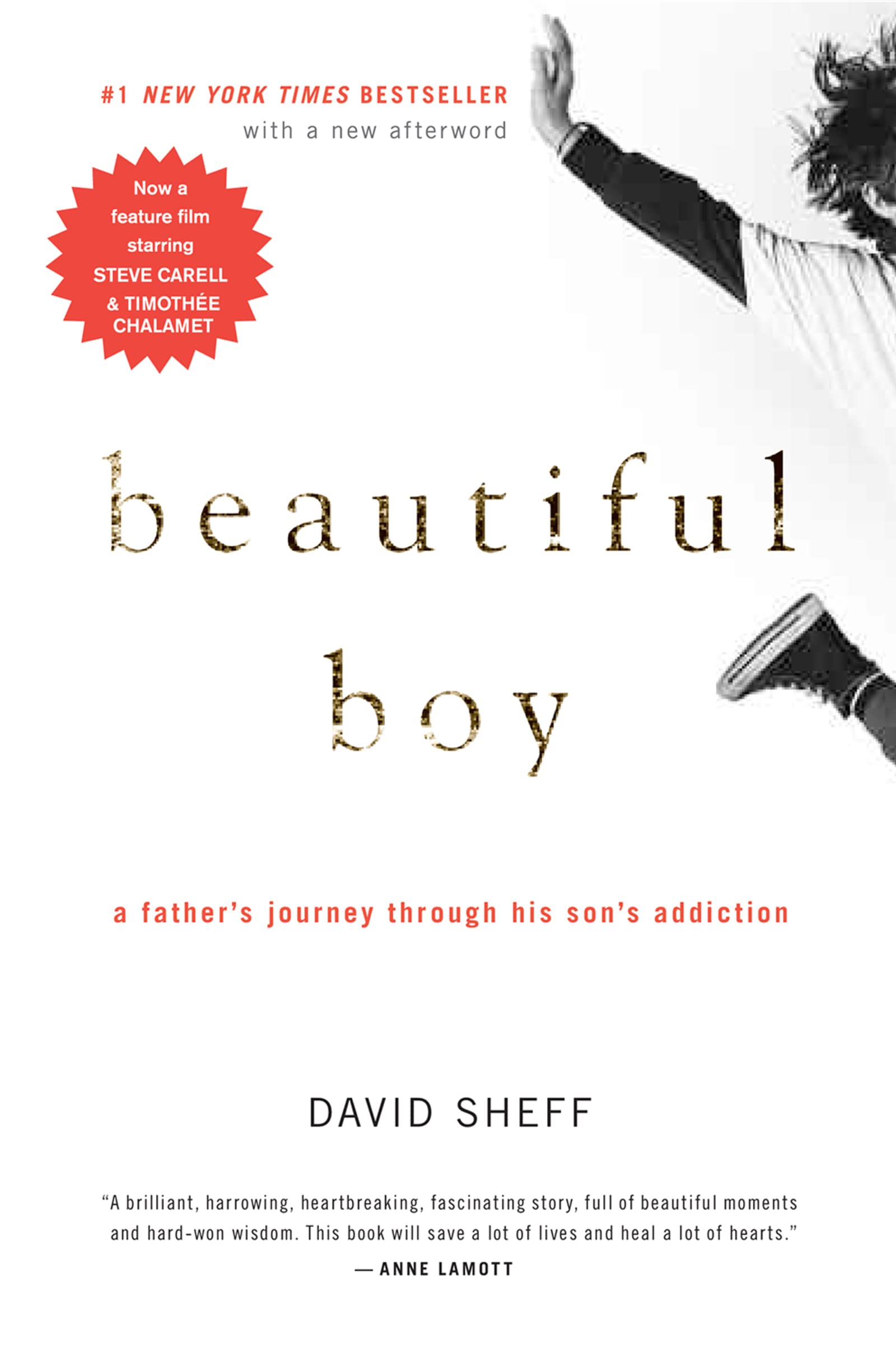 Beautiful Boy: A Father's Journey Through His Son's Addiction - 9442