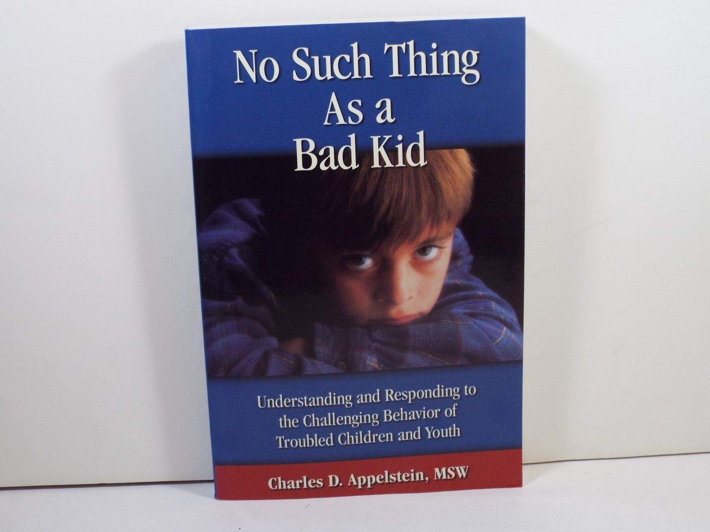 No Such Thing As a Bad Kid!: Understanding and Responding to the Challenging Behavior of Troubled Children and Youth - 6706