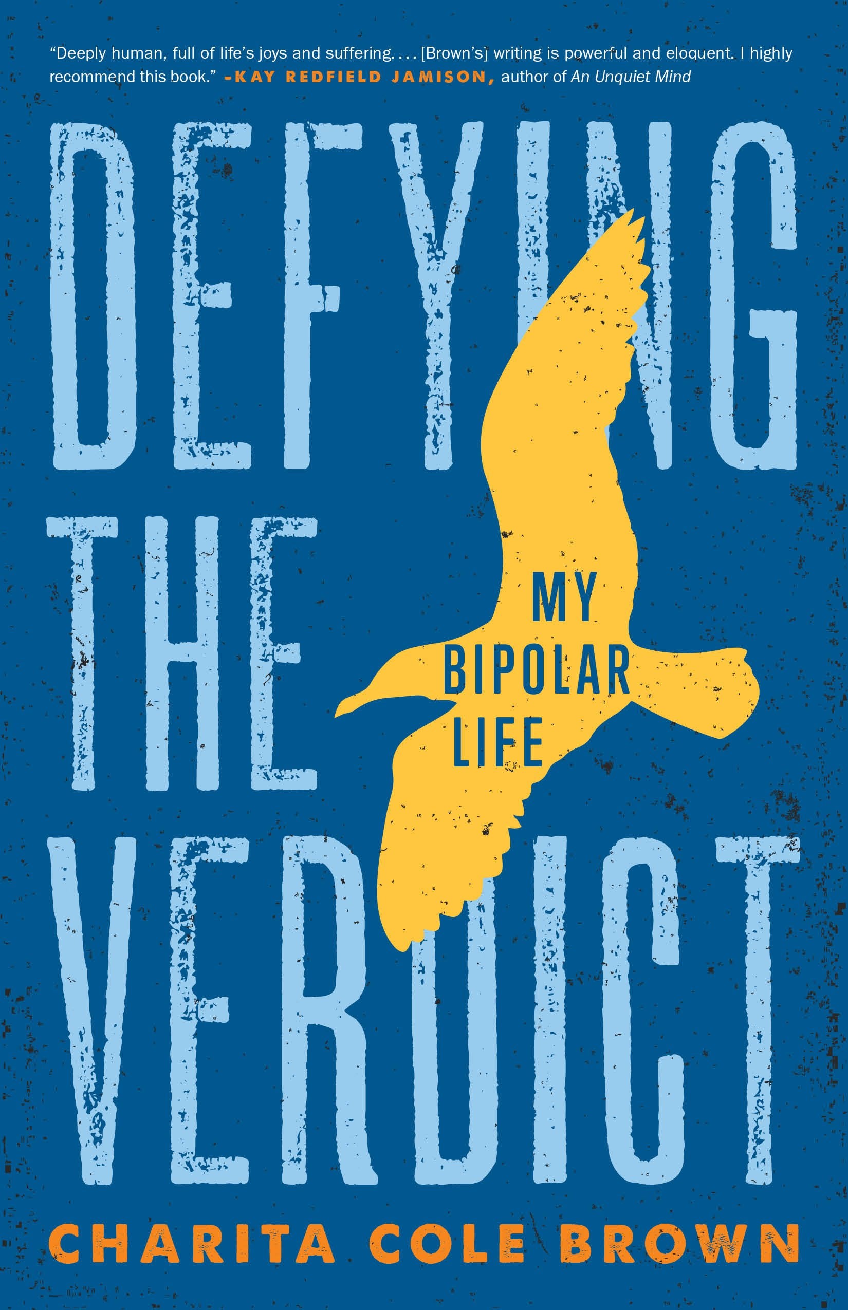 Defying the Verdict: My Bipolar Life - 3233