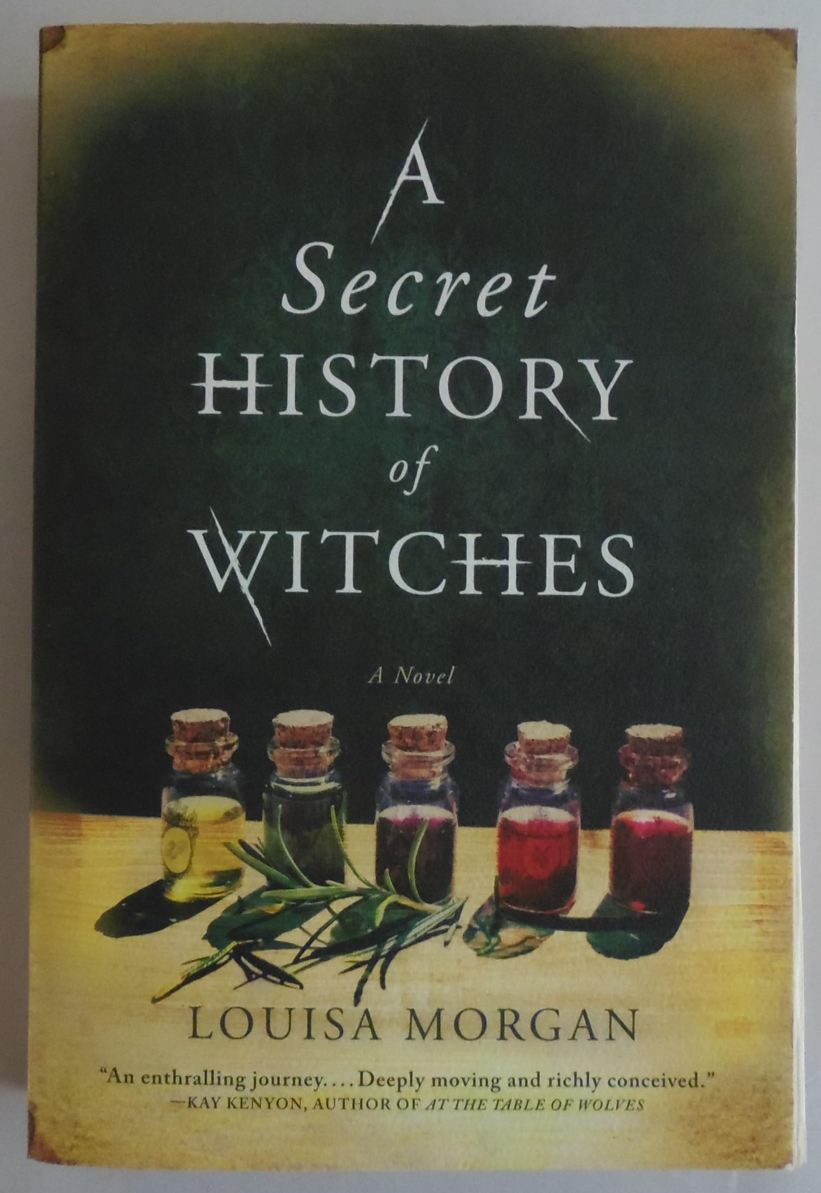 A Secret History of Witches: A Novel - 709