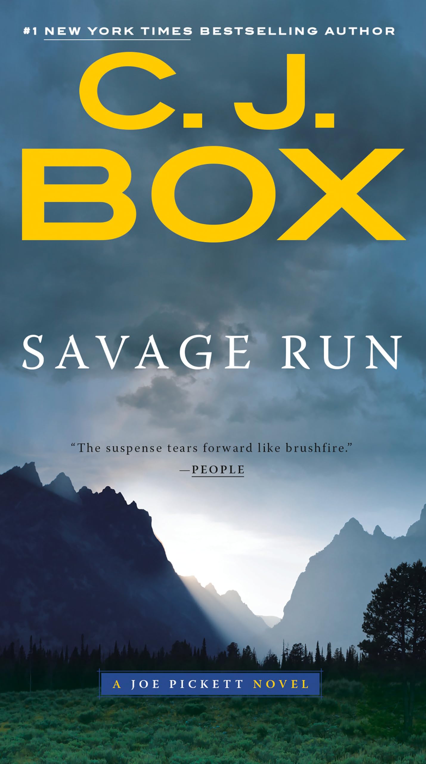 Savage Run (A Joe Pickett Novel) - 3358