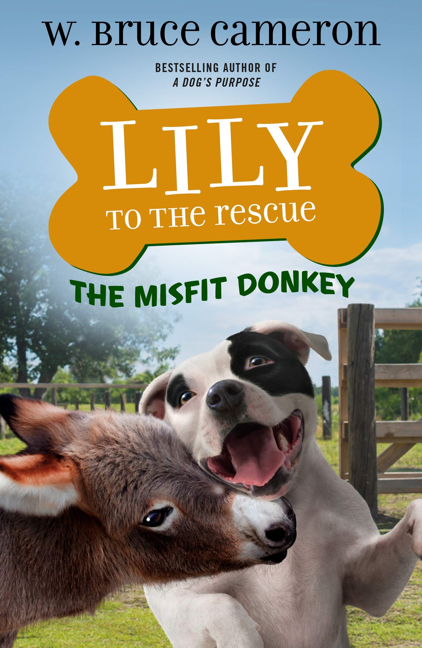 Lily to the Rescue: The Misfit Donkey (Lily to the Rescue!, 6) - 3061