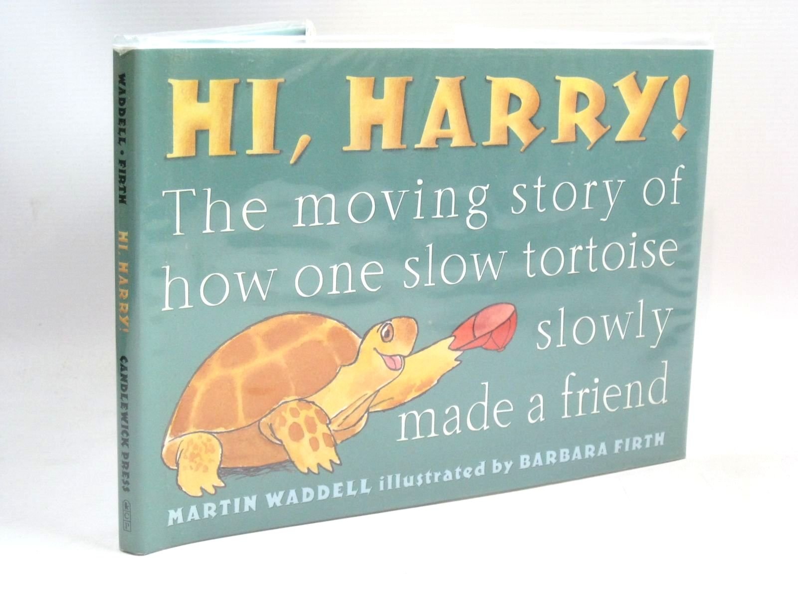 Hi, Harry!: The Moving Story of How One Slow Tortoise Slowly Made a Friend - 3379