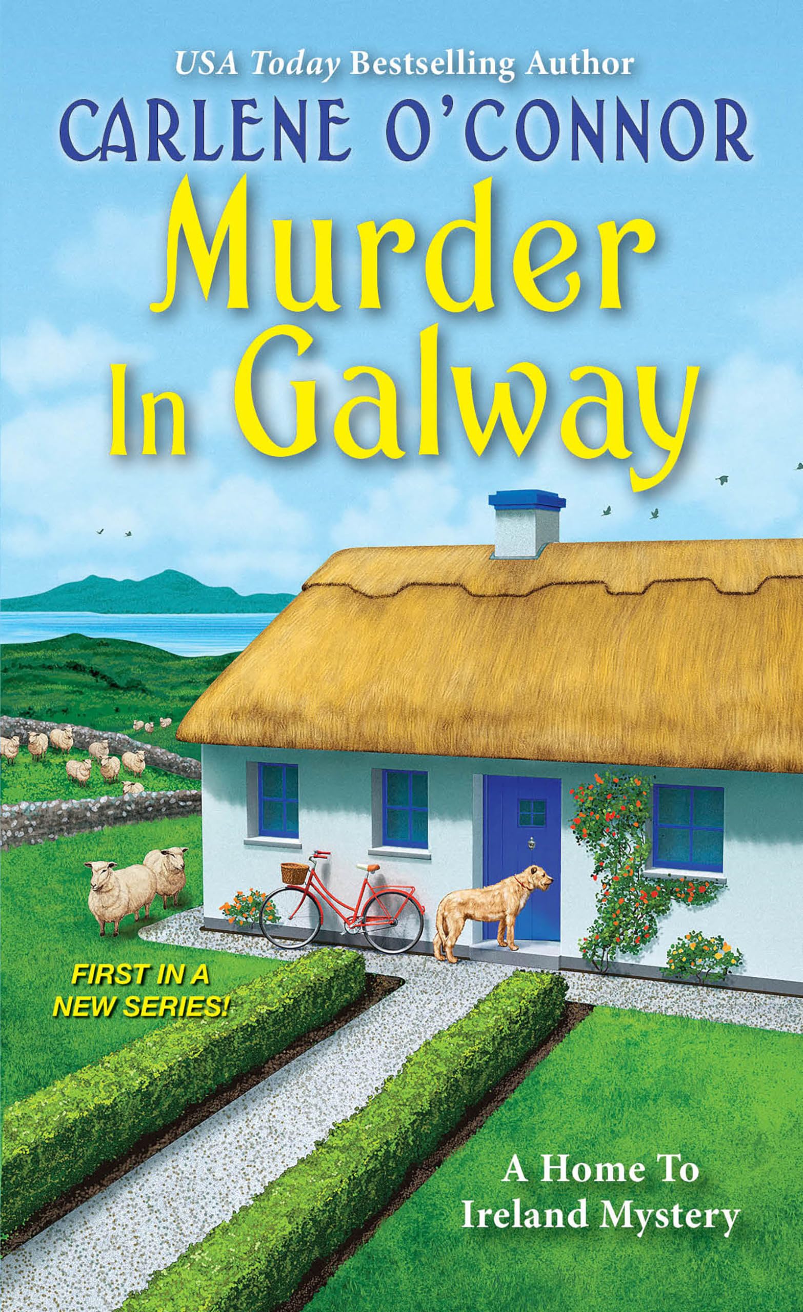 Murder in Galway (A Home to Ireland Mystery) - 9890