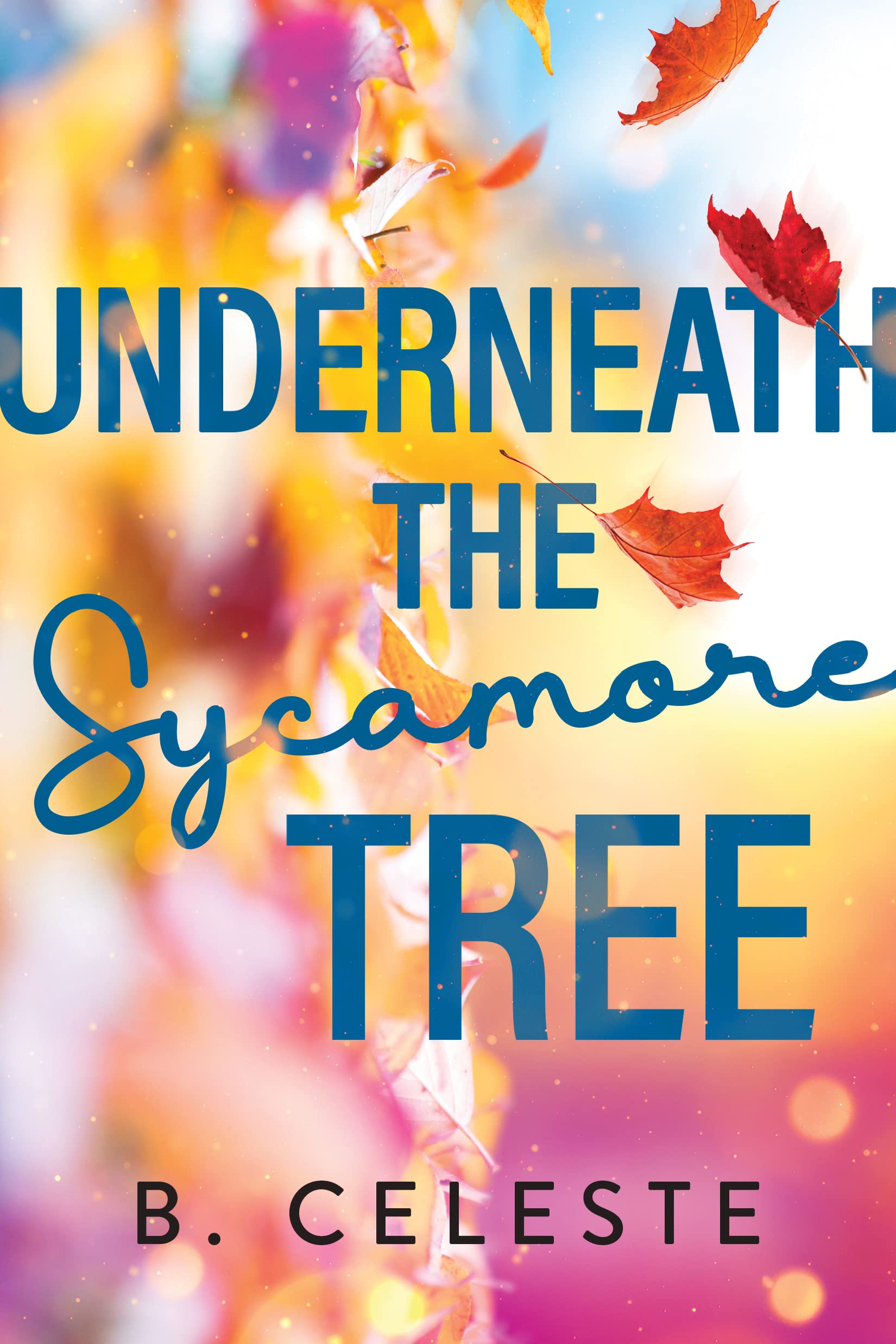 Underneath the Sycamore Tree - 9505