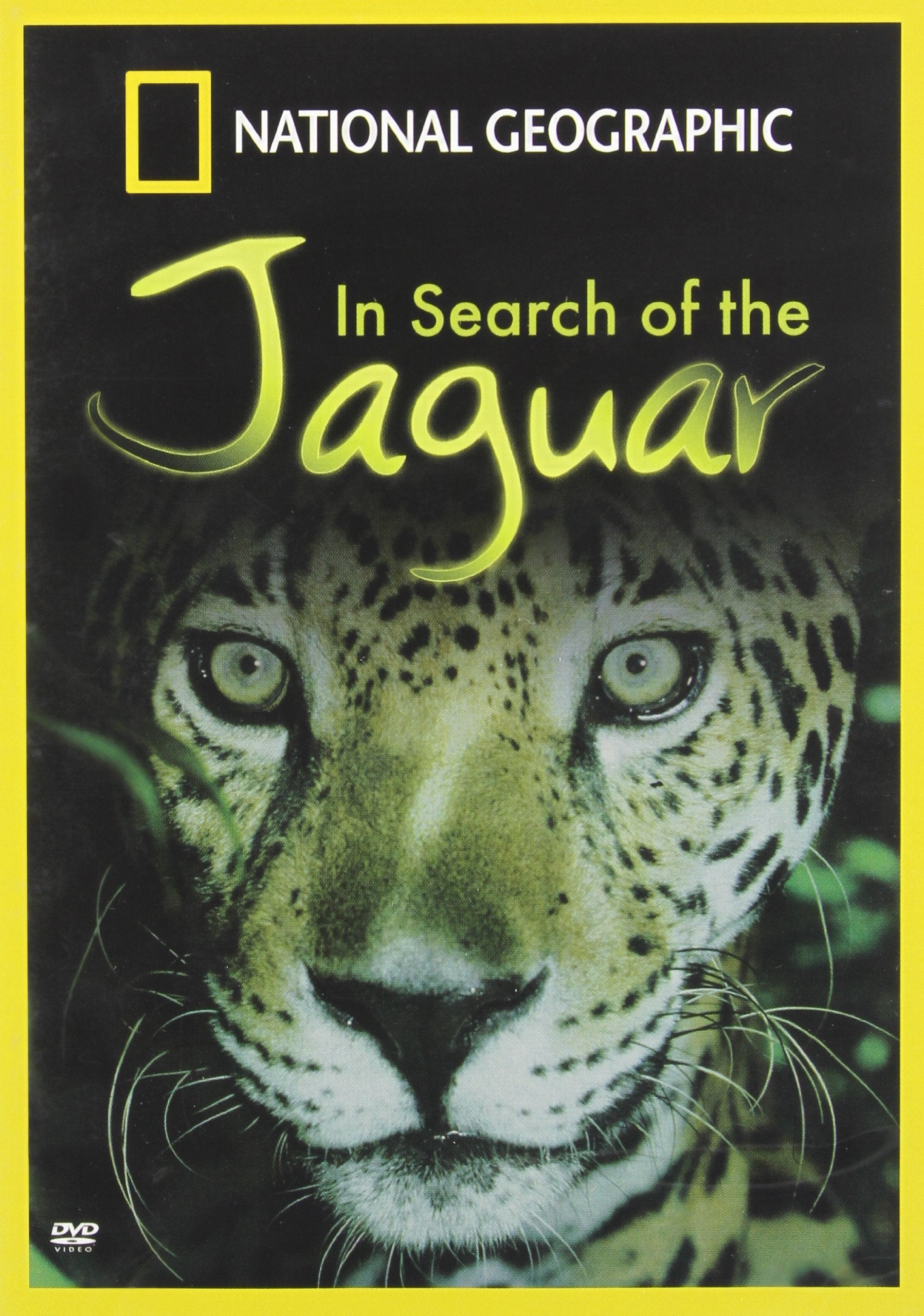 National Geographic - In Search of the Jaguar - 1274