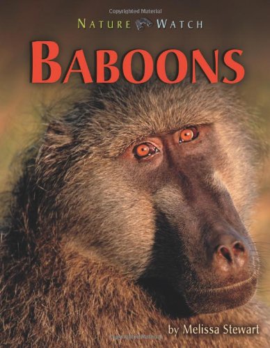 Baboons (Nature Watch) - 5644