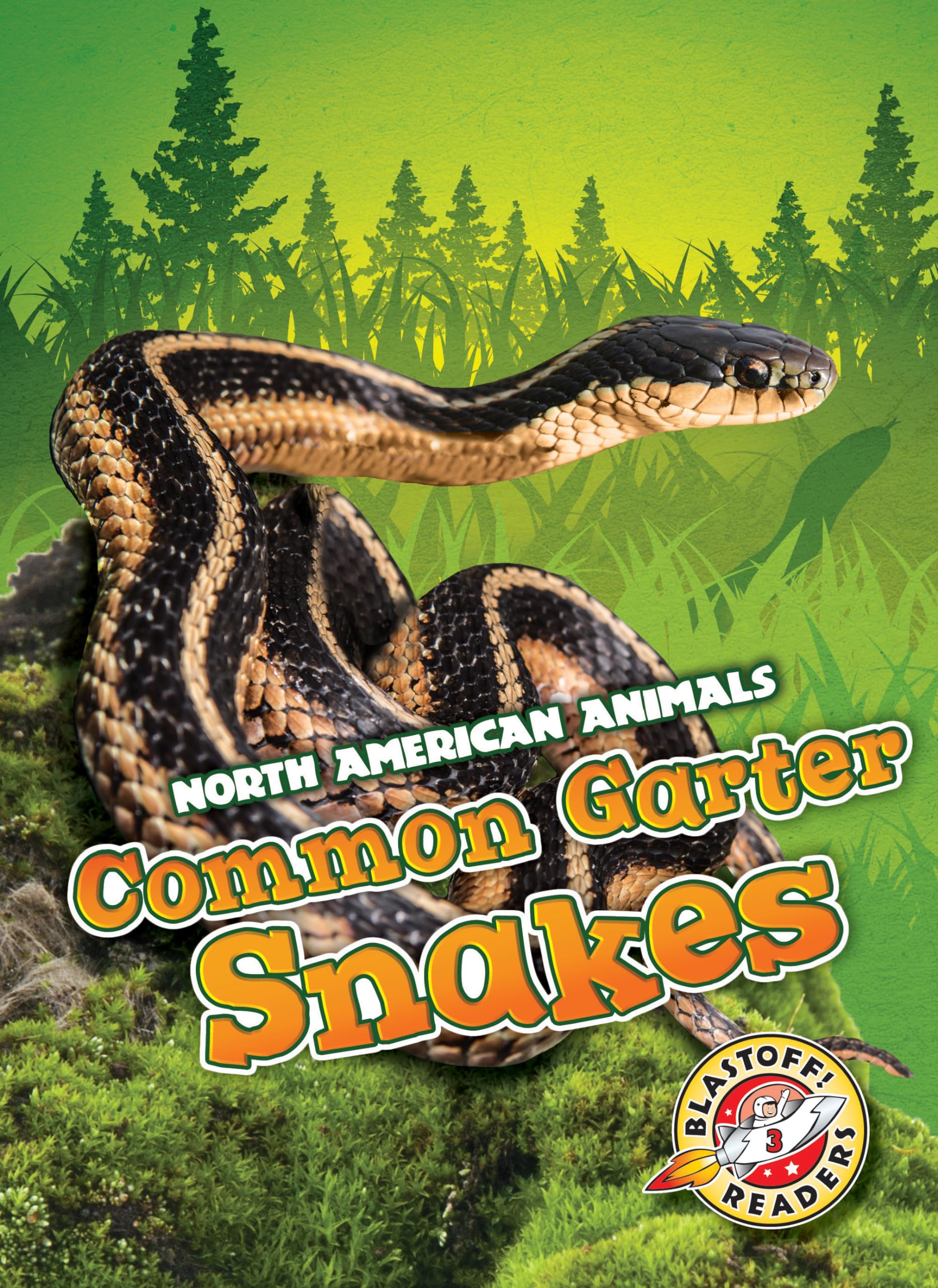 Common Garter Snakes (North American Animals) - 8157