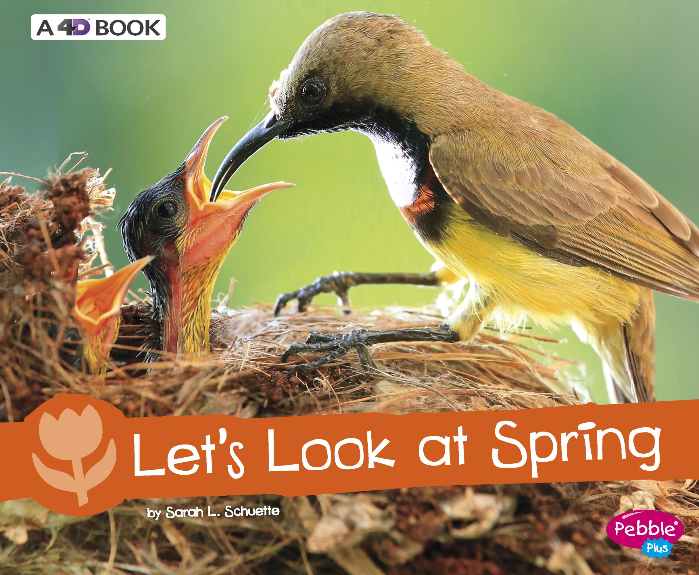 Let's Look at Spring: A 4D Book (Investigate the Seasons) - 6163