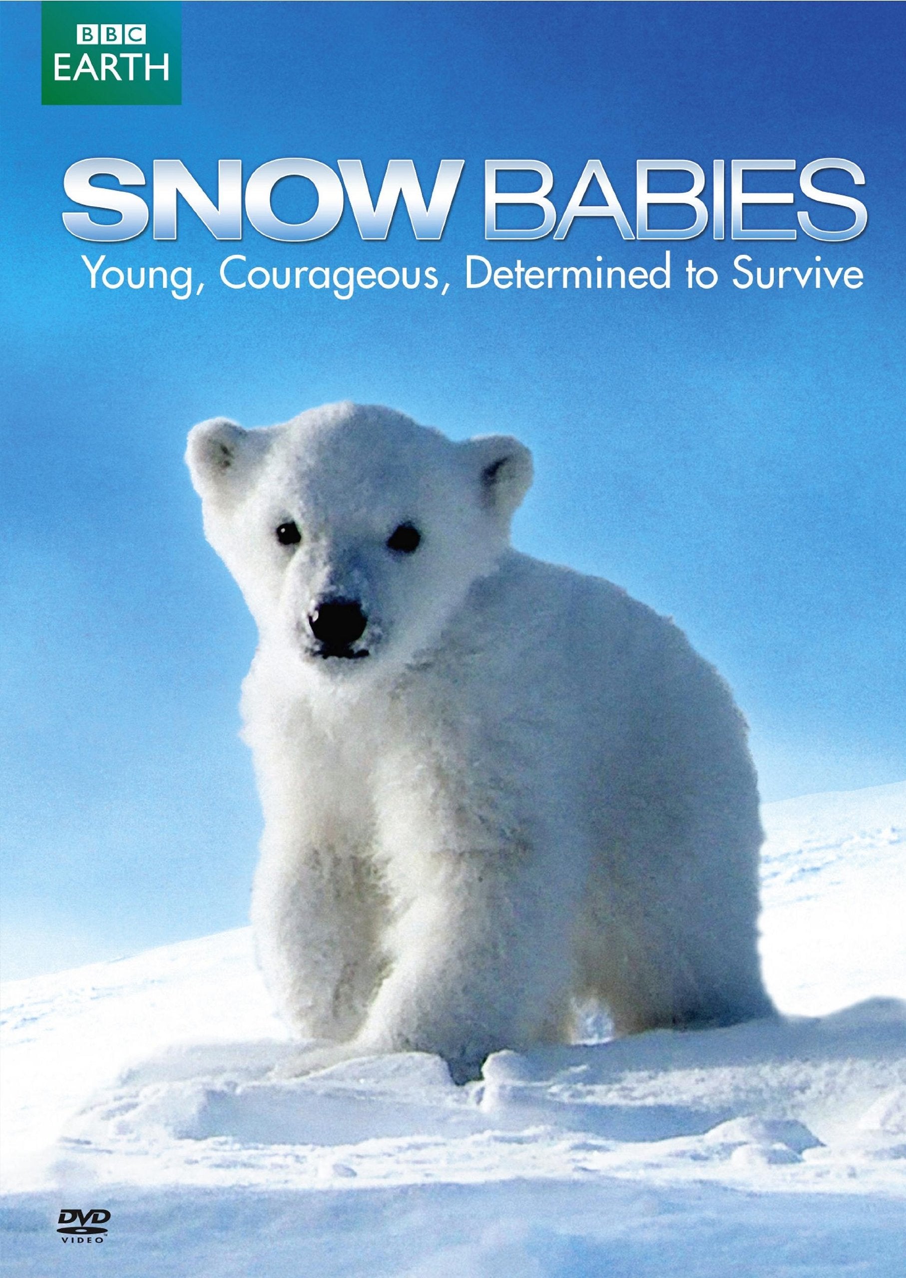 Snow Babies / Polar Bear: Spy on the Ice - 4075