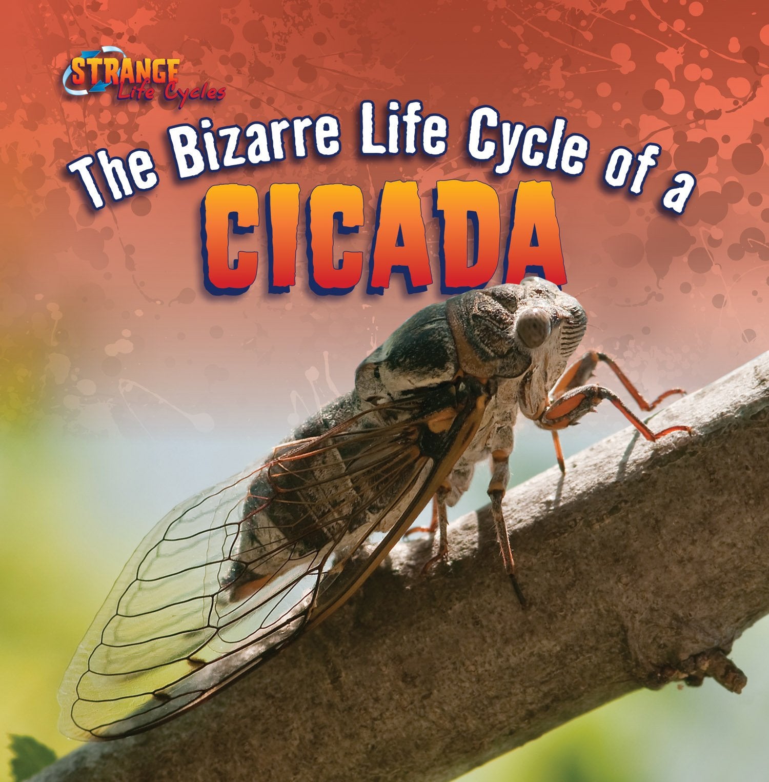 The Bizarre Life Cycle of a Cicada (Strange Life Cycles) - 9894