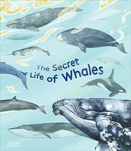 The Secret Life of Whales (The Secret Life of...Series) - 8366