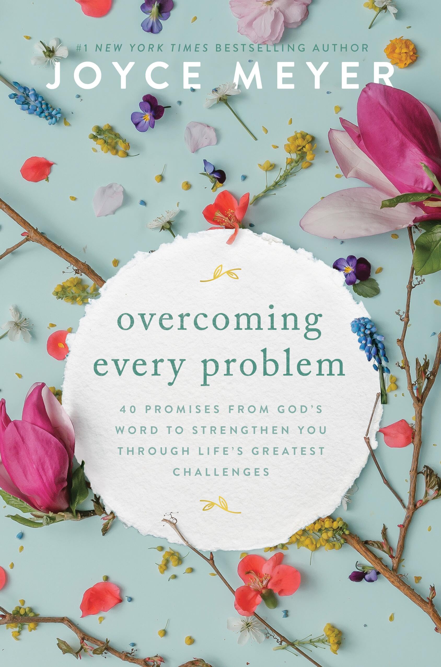 Overcoming Every Problem: 40 Promises from God’s Word to Strengthen You Through Life’s Greatest Challenges - 151