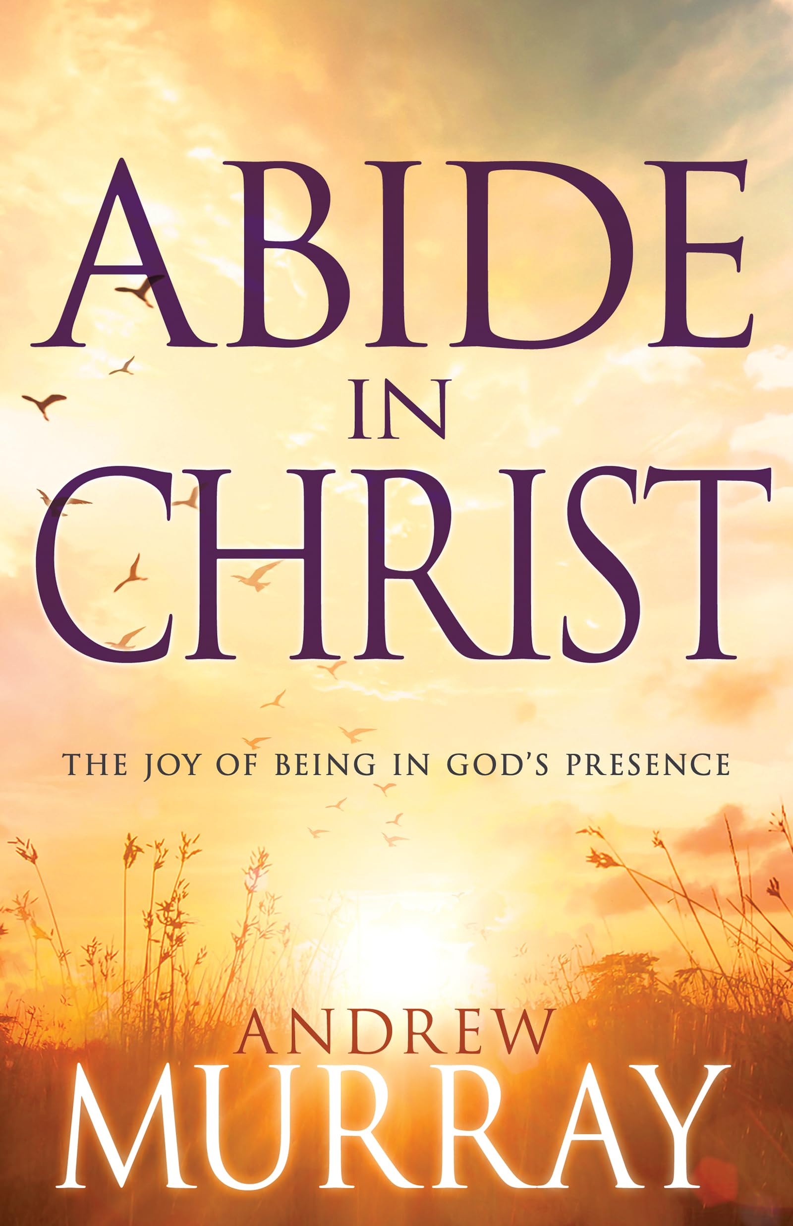 Abide in Christ: The Joy of Being in God's Presence - 8995