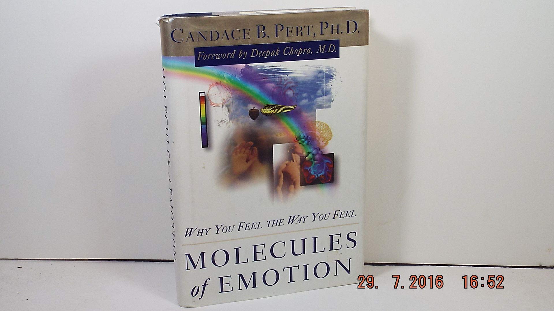 Molecules of Emotion: Why You Feel the Way You Feel - 4562