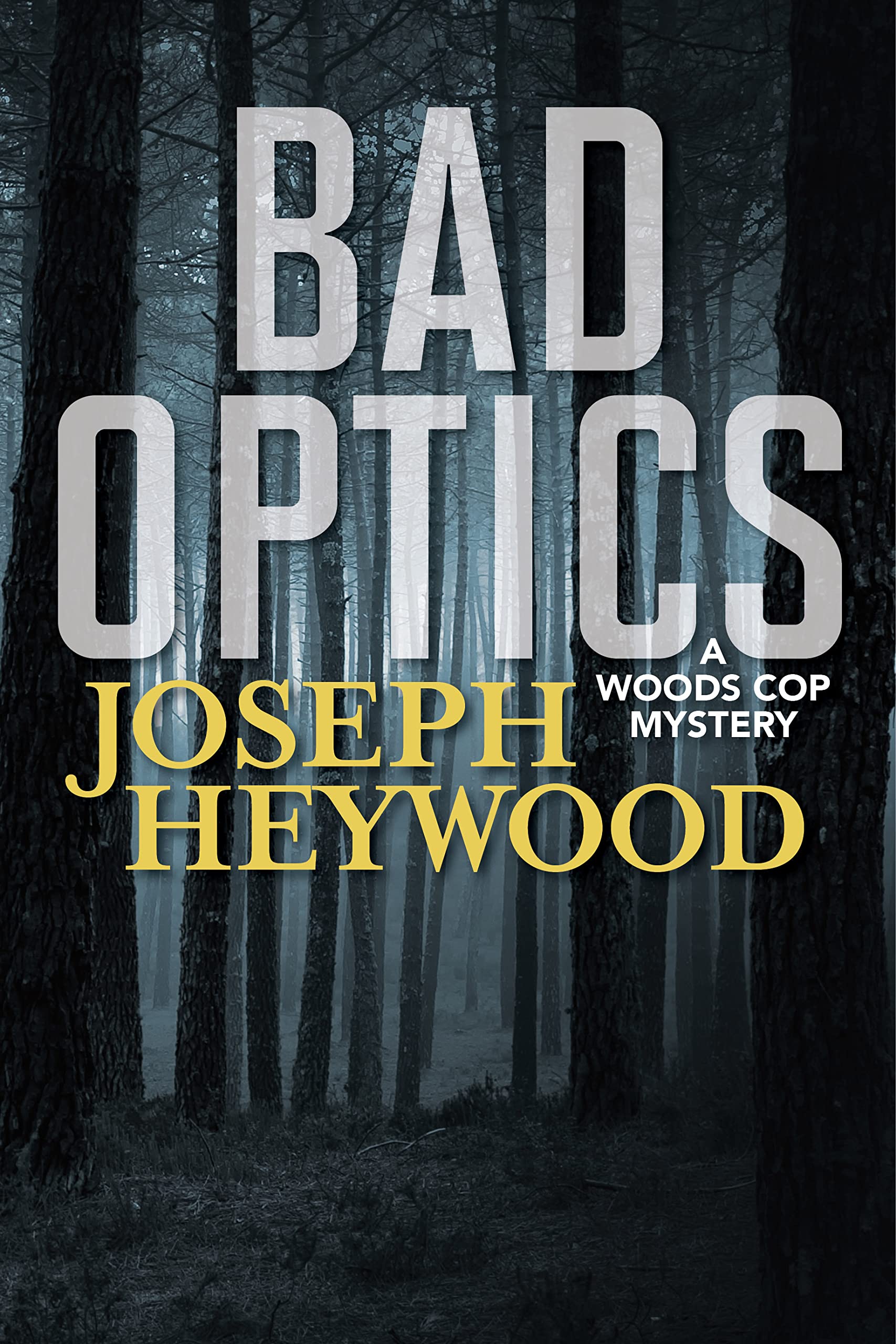 Bad Optics (Wood Cop Mystery) - 4882