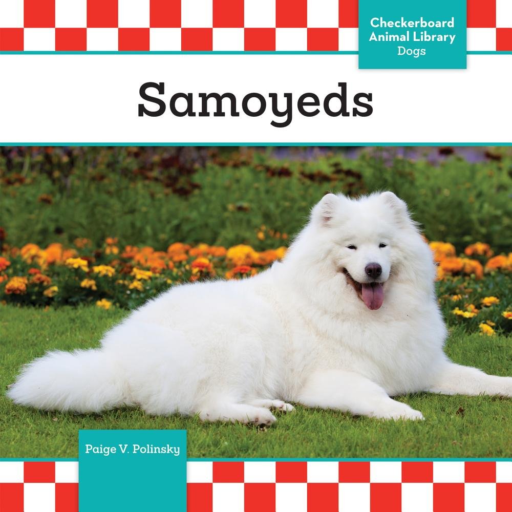 Samoyeds (Dogs) - 8869