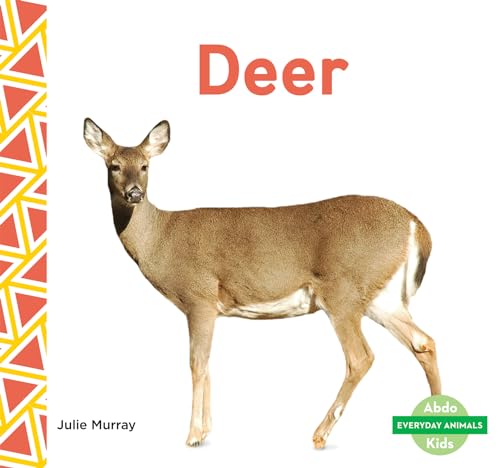 Deer (Everyday Animals) - 4548