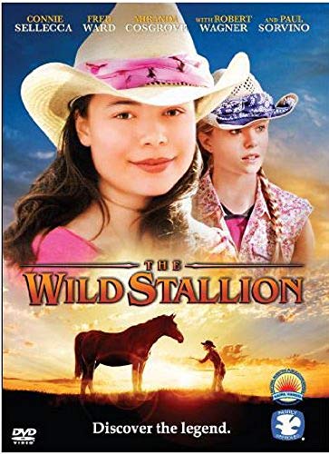 The Wild Stallion - 418