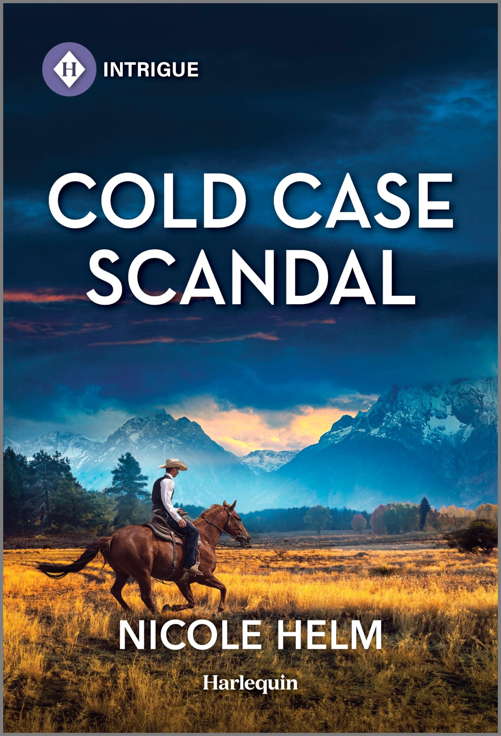 Cold Case Scandal (Hudson Sibling Solutions, 4) - 29