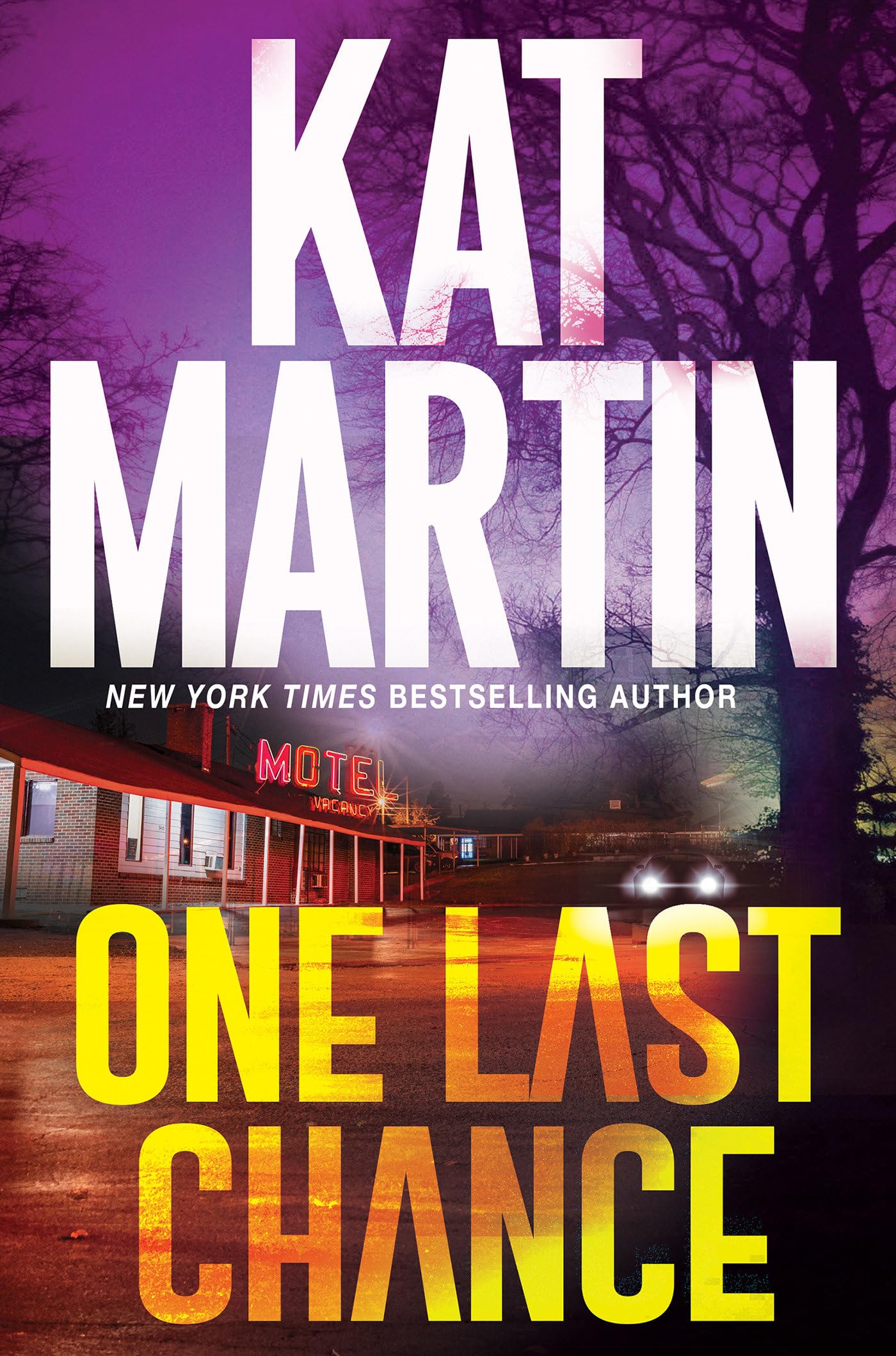 One Last Chance: A Thrilling Novel of Suspense (Blood Ties, The Logans) - 3456