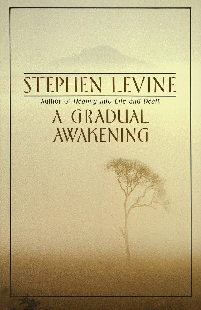 A Gradual Awakening - 3534