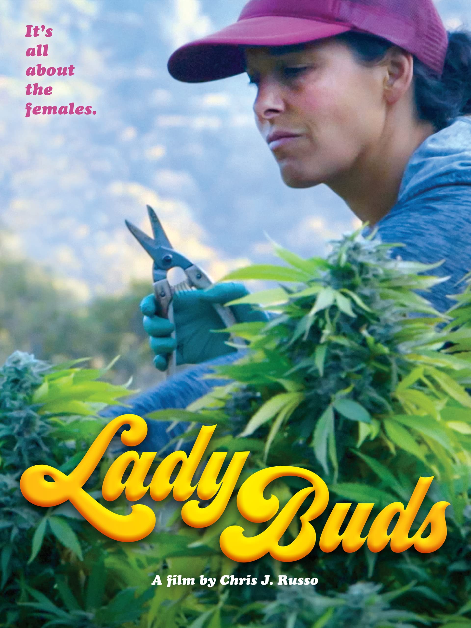 Lady Buds - 4530