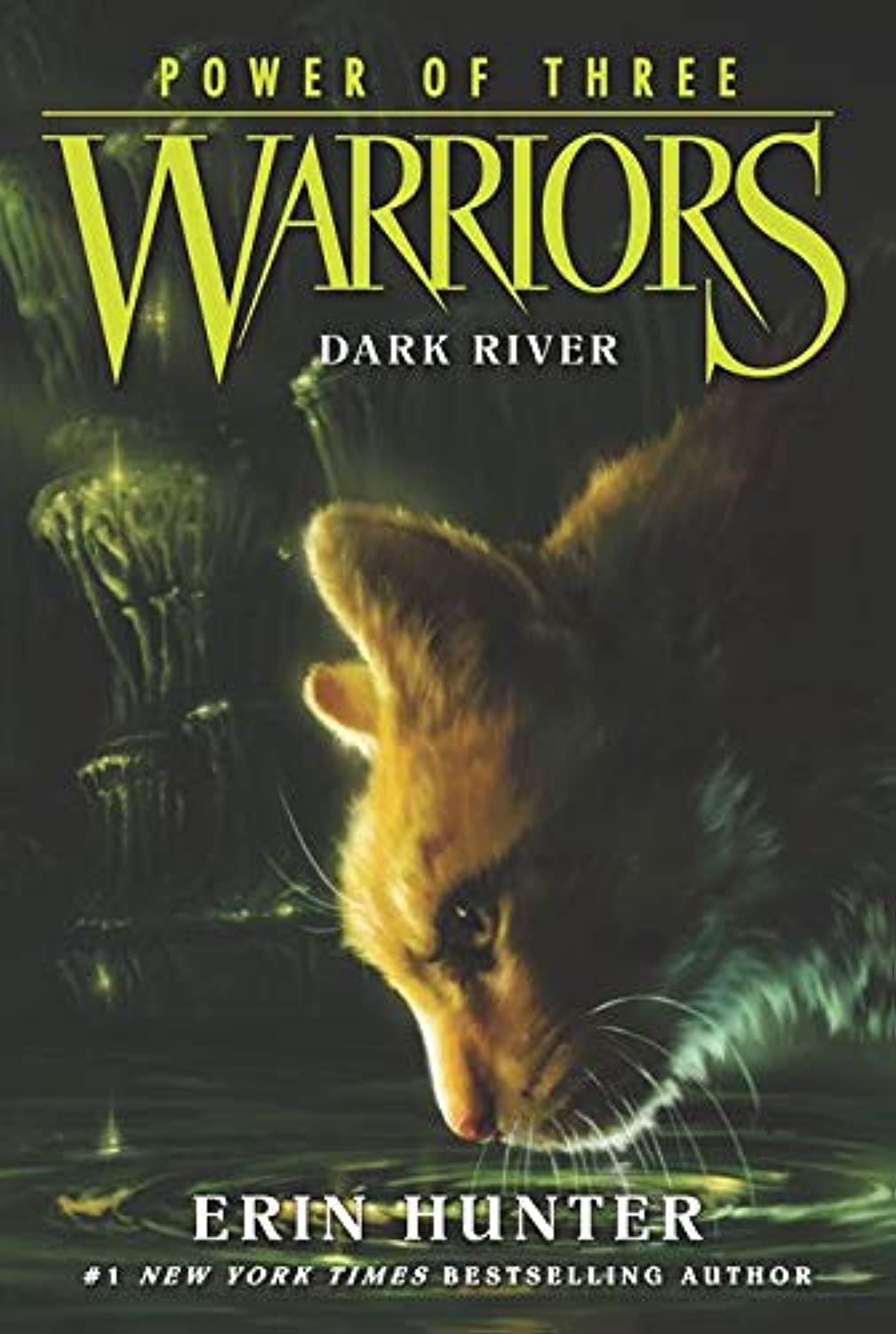 Warriors: Power of Three #2: Dark River - 553