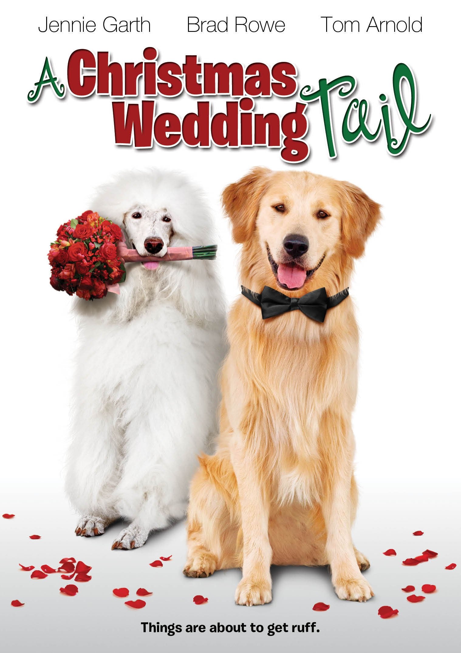 A Christmas Wedding Tail - 6672