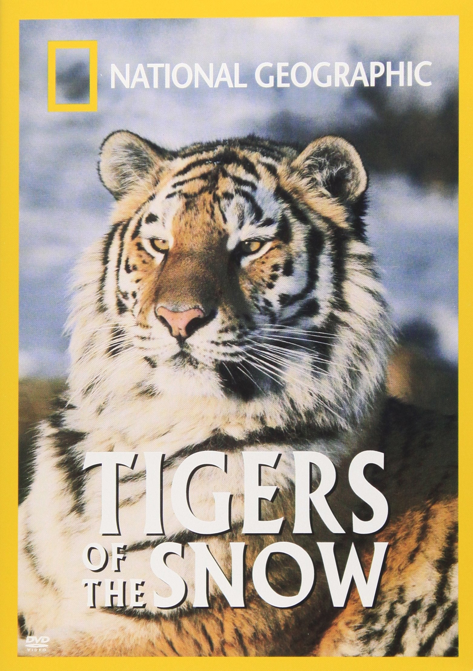 National Geographic's Tigers of the Snow - 7932