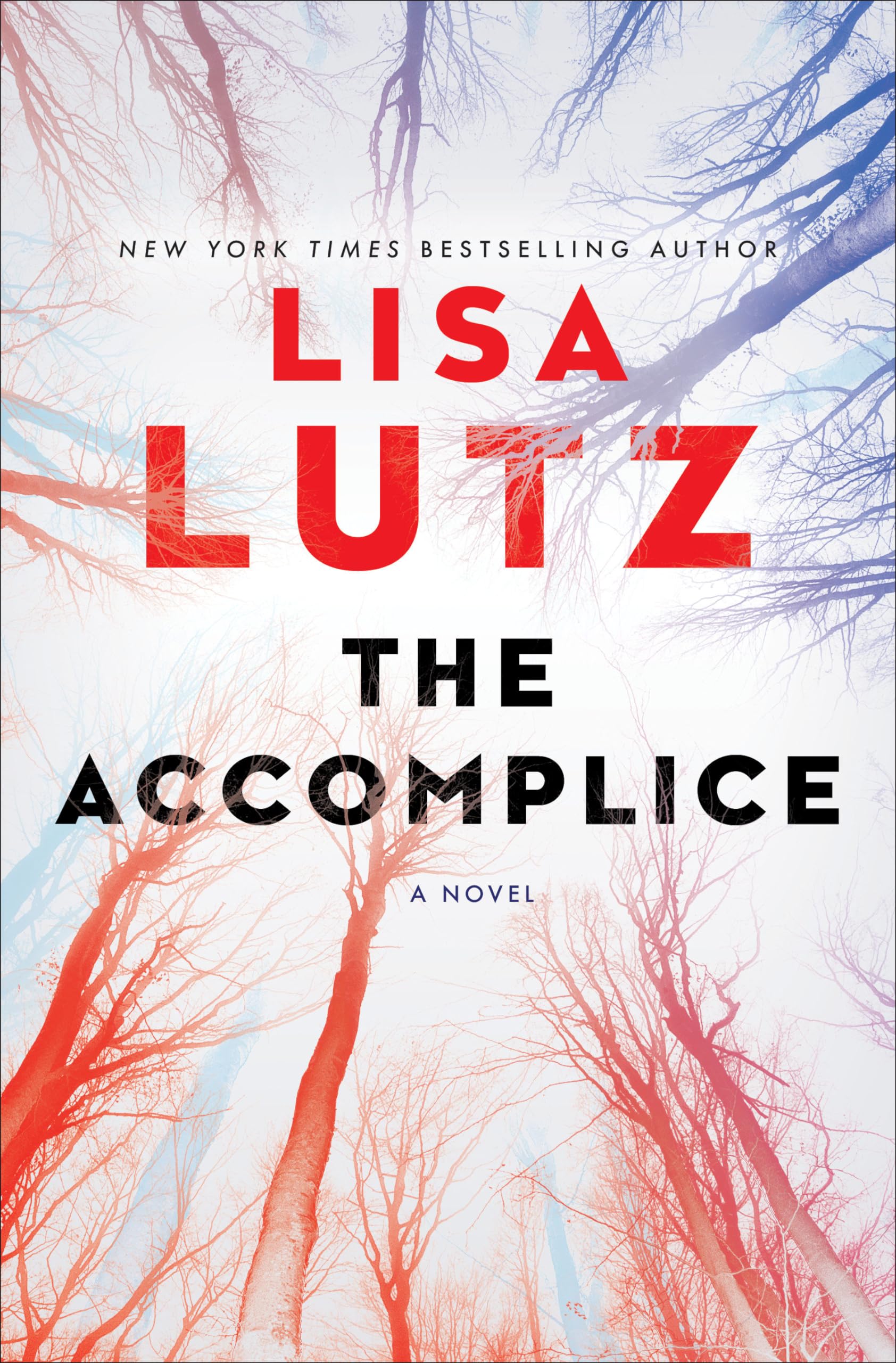 The Accomplice: A Novel - 5008