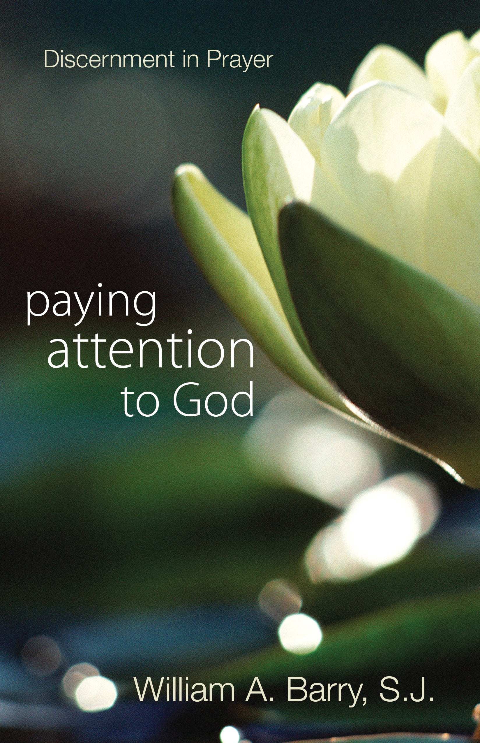 Paying Attention to God: Discernment in Prayer - 6284