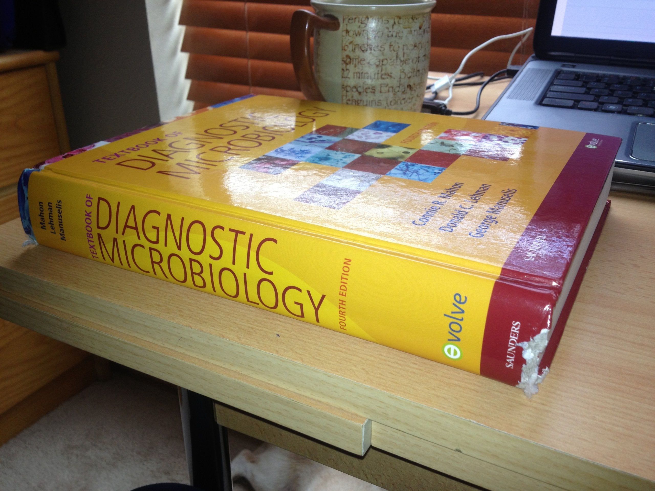 Textbook of Diagnostic Microbiology - 3095