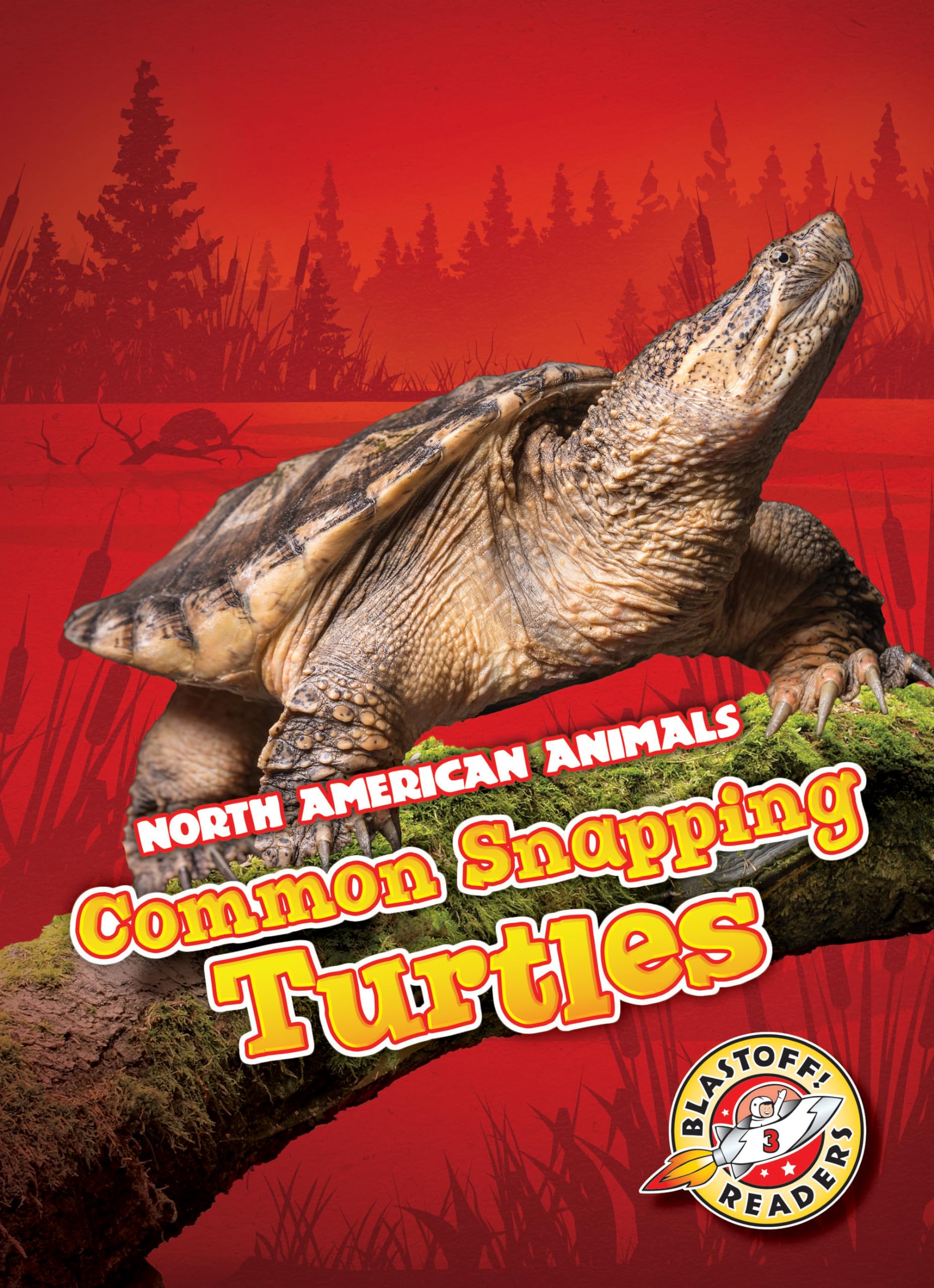 Common Snapping Turtles (North American Animals) - 4728