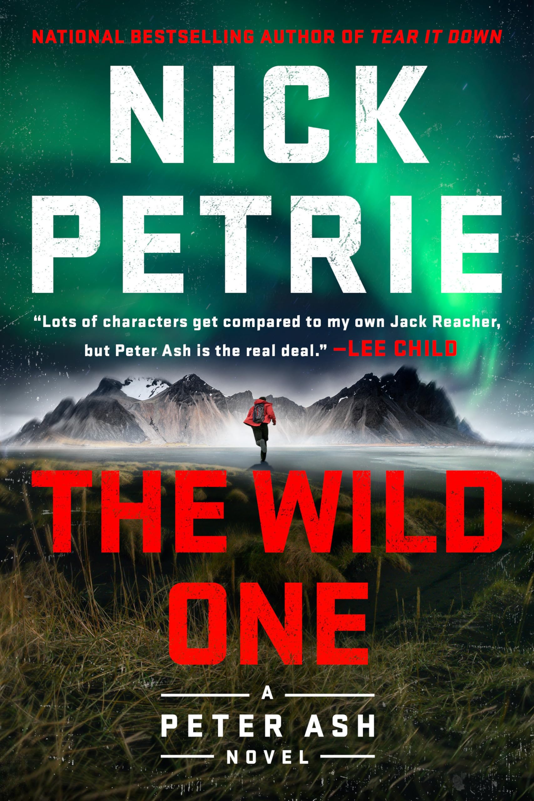 The Wild One (A Peter Ash Novel) - 7977