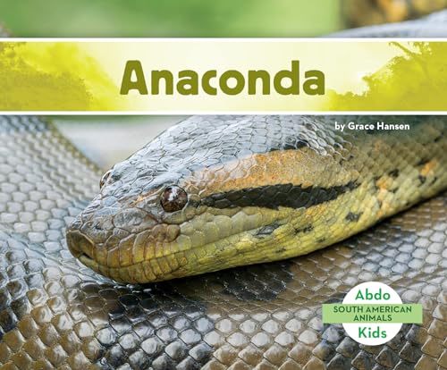 Anaconda (South American Animals) - 6444