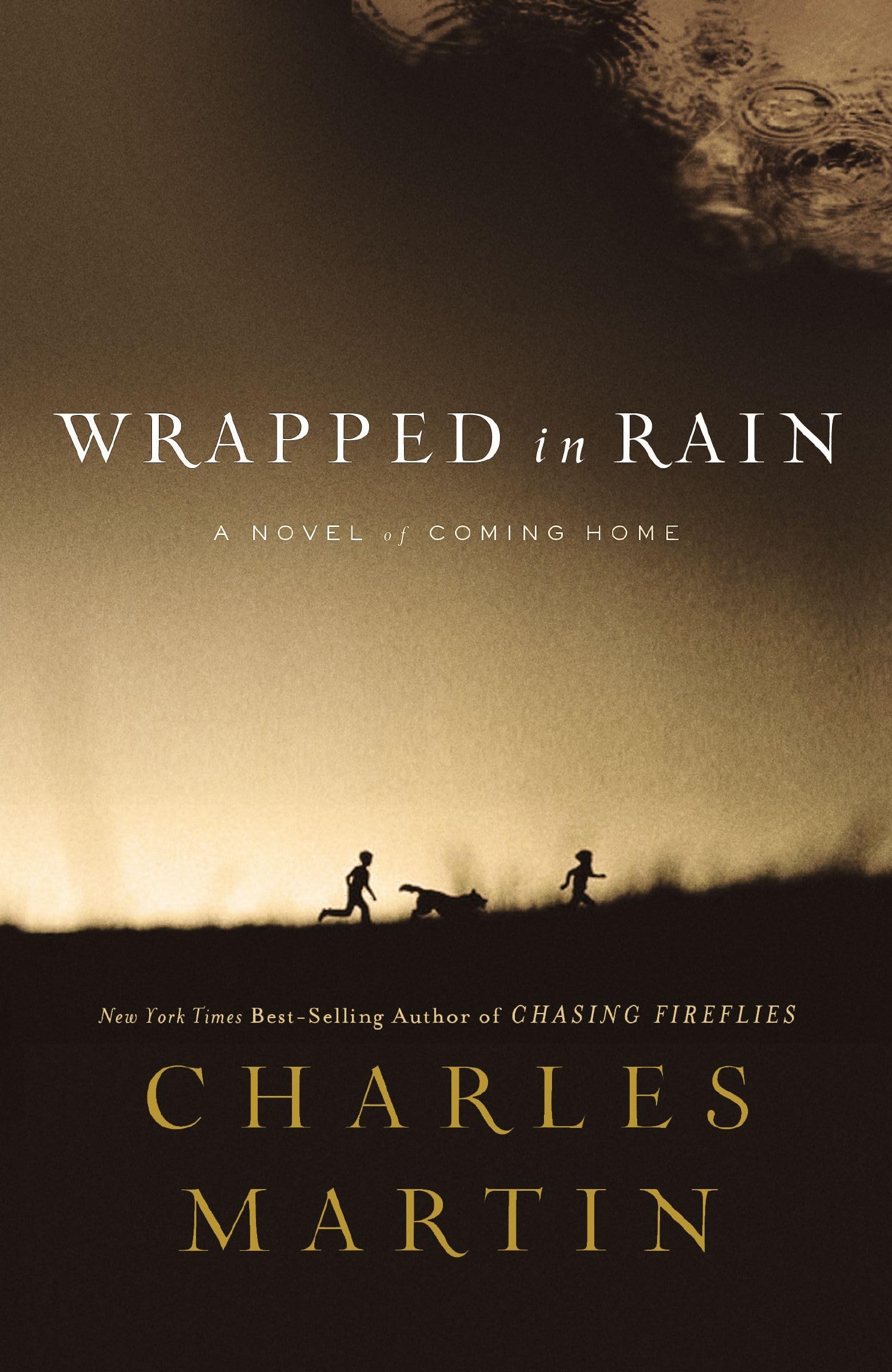 Wrapped in Rain: A Novel - 1079