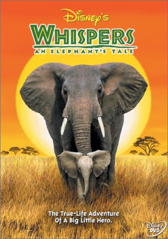 Whispers - An Elephant's Tale - 9602