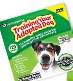 Training Your Adopted Dog - 6067