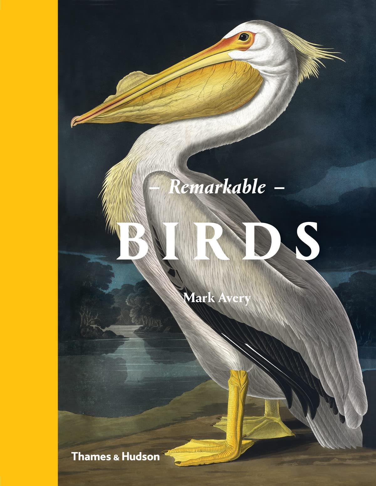 Remarkable Birds - 4439