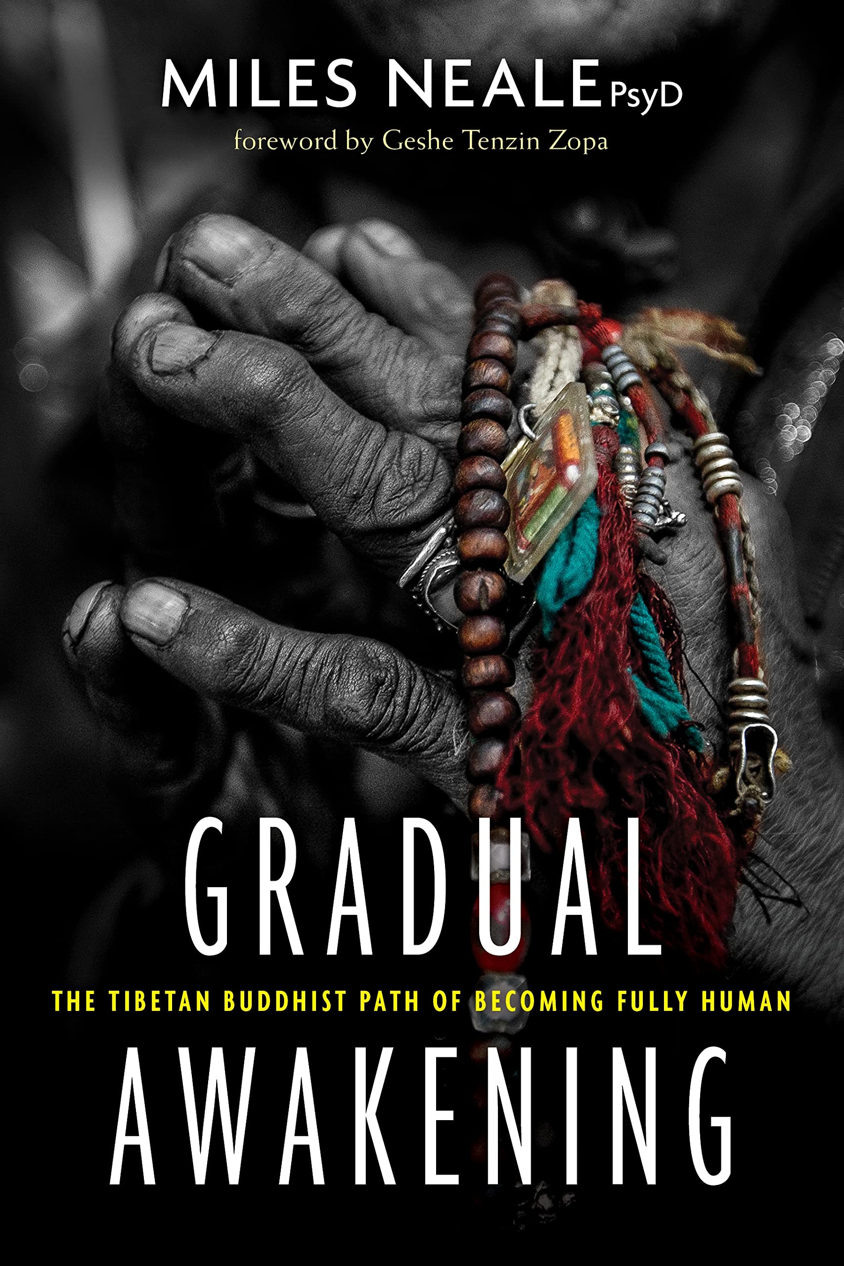 Gradual Awakening: The Tibetan Buddhist Path of Becoming Fully Human - 4830