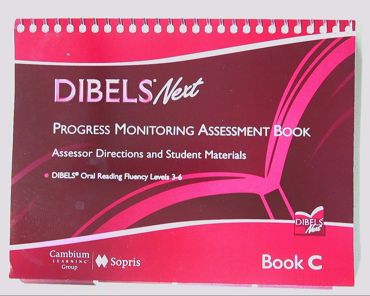 Dibels Next: Progess Monitoring Assessment Book, Book C - 2334