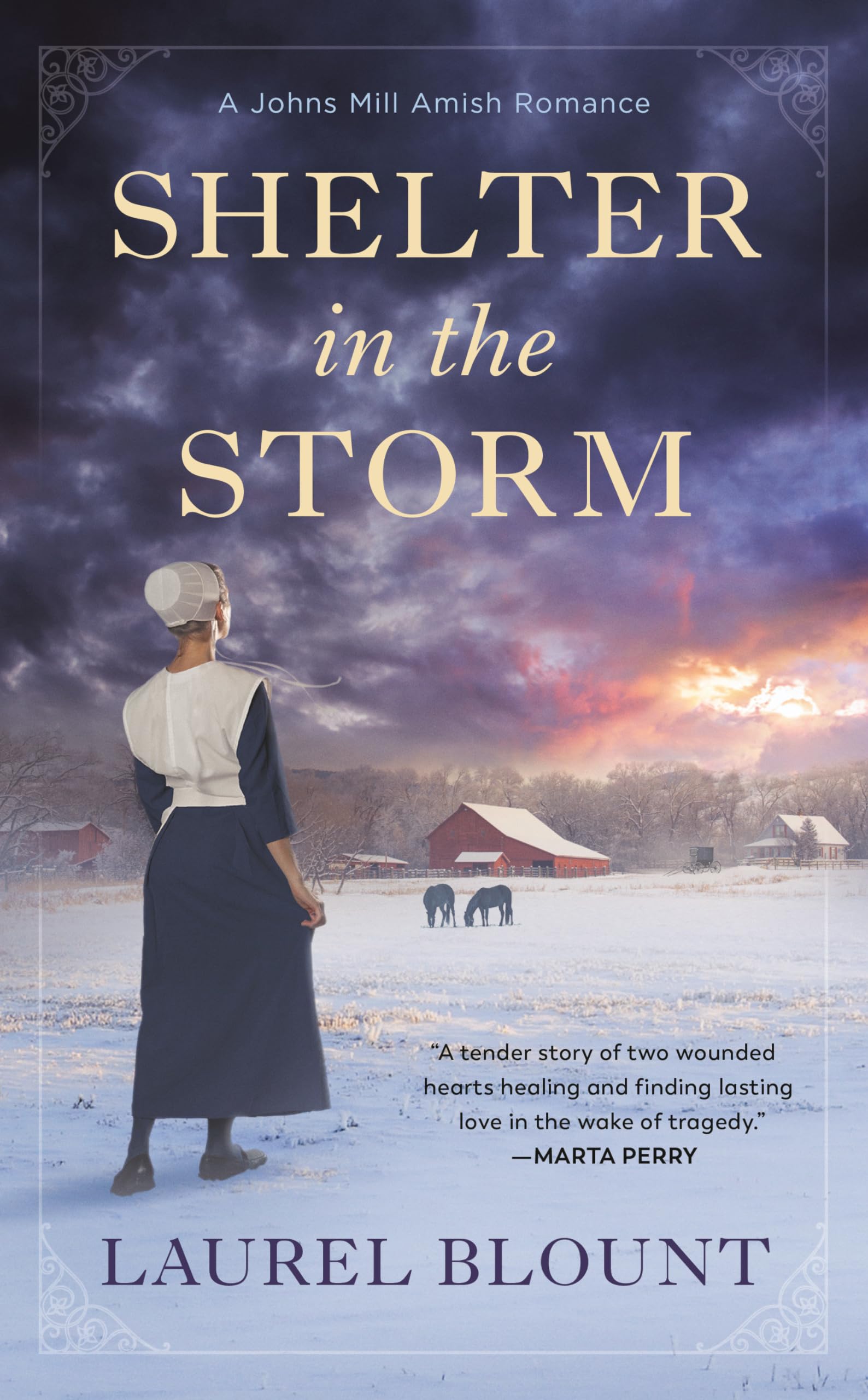 Shelter in the Storm (A Johns Mill Amish Romance) - 9989