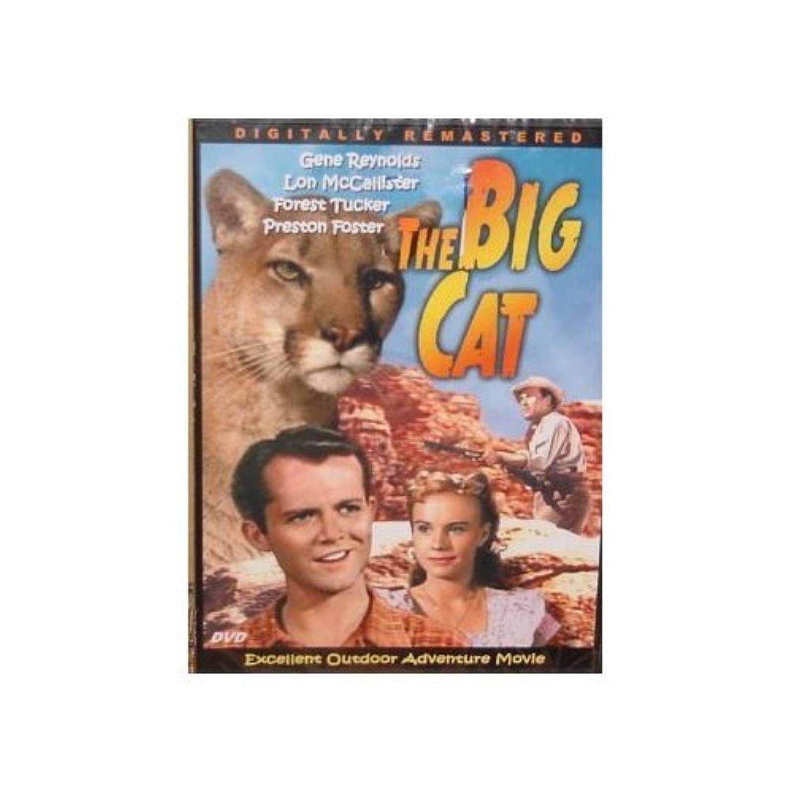 The Big Cat [Slim Case] - 672